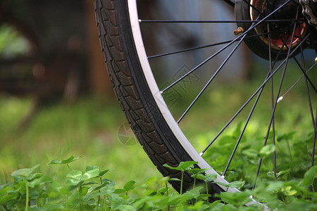 自行车草坪上的自行车高清图片