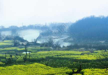 春天小河雾里看花背景