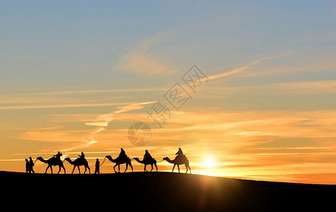 骆驼剪影团队精神剪影设计图片