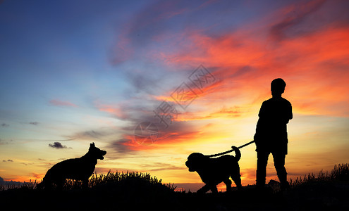 人和狗狗友情场景设计图片