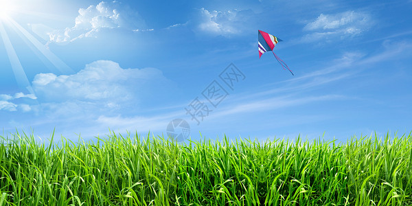 草原春天小麦风筝蓝天设计图片