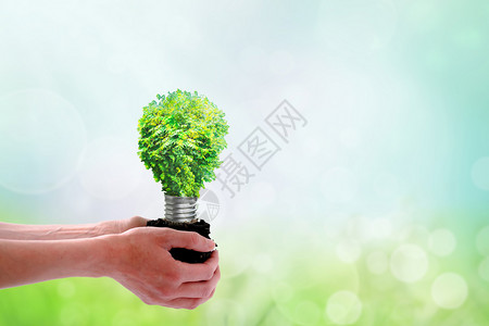 双手捧着植物环保绿色背景设计图片