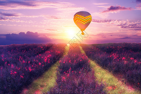 自然花海花海热气球背景设计图片