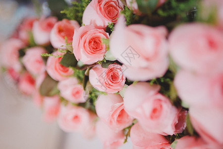 粉色玫瑰花背景背景图片
