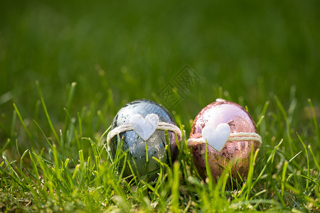 两个彩蛋草地上的复活节彩蛋背景