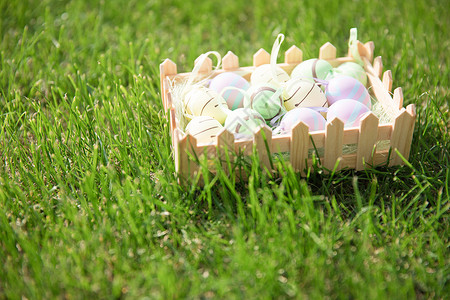阳光下草地上的复活节彩蛋背景图片