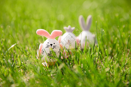致敬重生阳光下草地上的复活节彩蛋背景