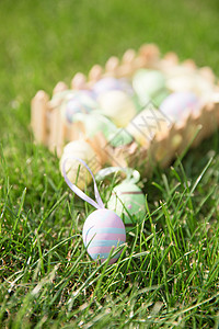 致敬重生阳光下草地上的复活节彩蛋背景