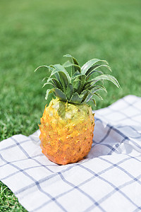 草地野餐布上的水果菠萝图片