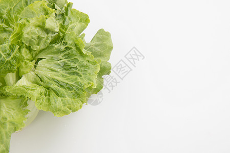 生菜绿色蔬菜背景图片