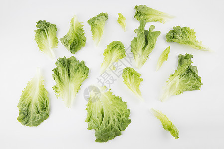 生菜绿色蔬菜图片