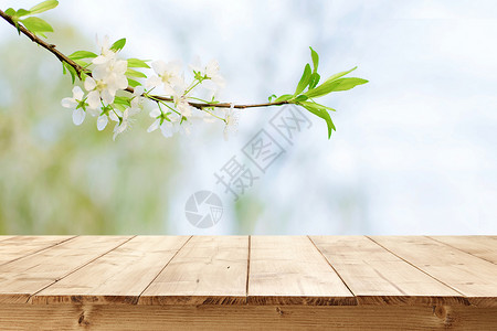 桌上的鲜花春天背景设计图片
