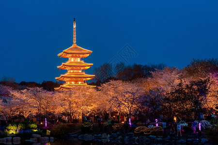 武汉塔武汉东湖樱花园背景