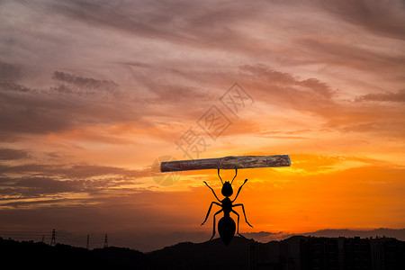 团队精神剪影背景图片