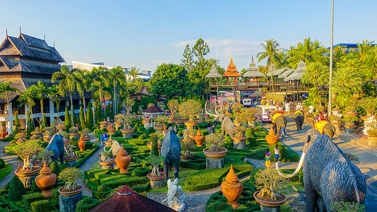 泰国旅游单页泰国芭提雅东芭乐园背景