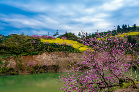 徽州桃花安徽古徽州新安江清明时节风光背景