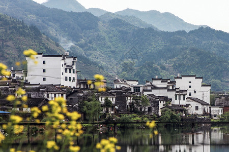 婺源背景图片