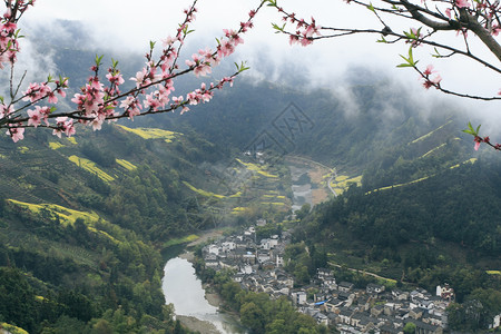 婺源背景图片