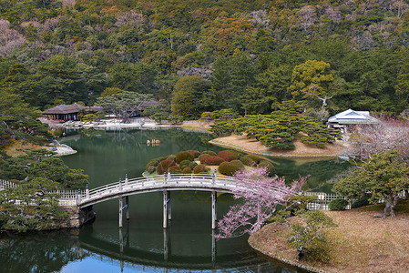 花园林日本日式园林风景背景