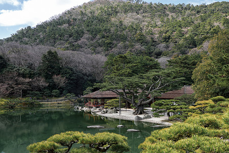 渣甸山花园杜日本花园园林景观背景