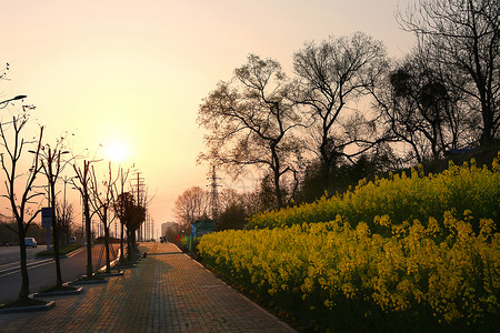 暗花春光明媚背景