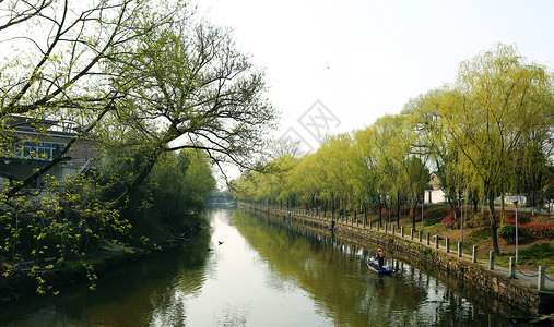 美丽乡村行春光明媚背景