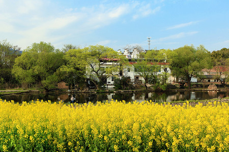 春光明媚美好乡村高清图片