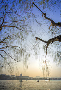 西湖风景图片