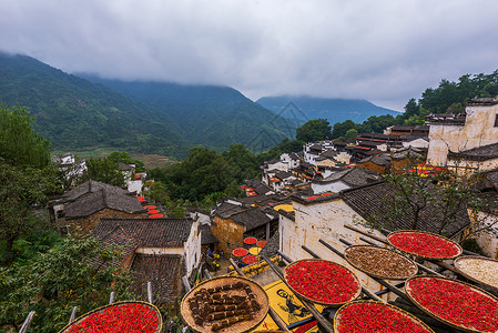 旅游水果干江西婺源美景背景