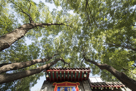 北京胡同风景背景图片