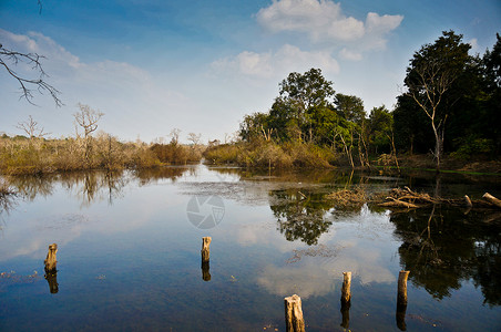 东南亚公园柬埔寨自然风光背景
