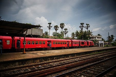 海边火车斯里兰卡海边小火车背景