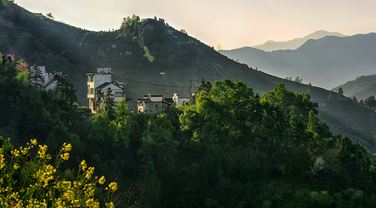 安徽茶园春天山中的乡村背景