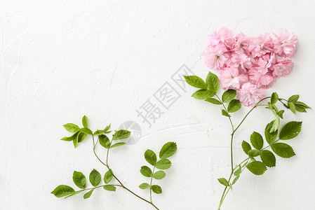 绿叶平铺底纹桌面上的春日樱花平铺造型背景