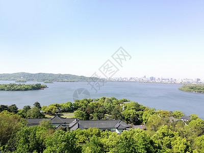 大樟树西湖雷峰塔背景