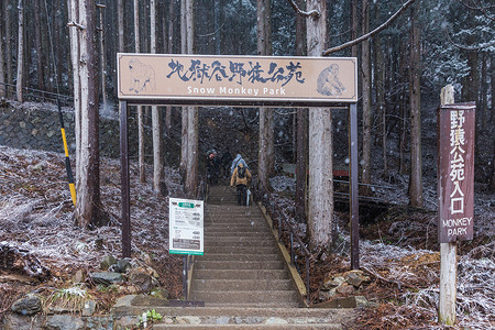 地狱谷温泉日本猴子高清图片