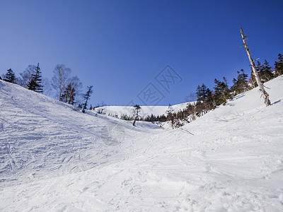 日本滑雪梅池高原滑雪场背景