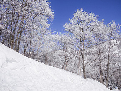 梅池高原滑雪场背景图片