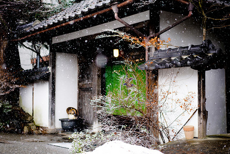 日本白马村雪景图片