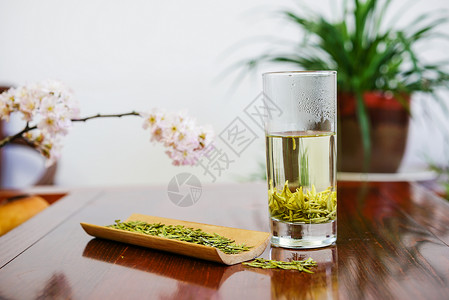 绿茶嫩芽茶园背景