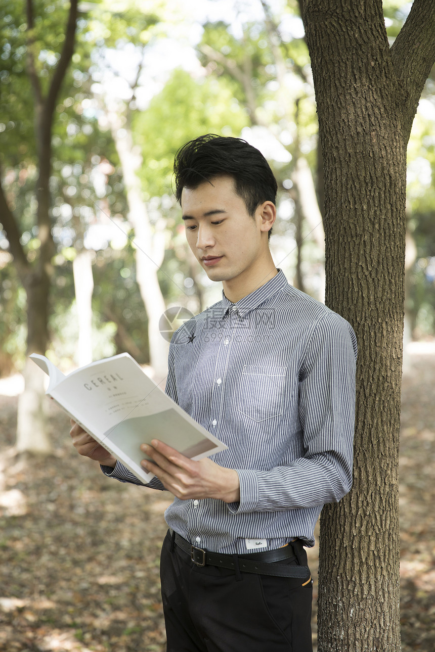 男士在树林里阅读图片