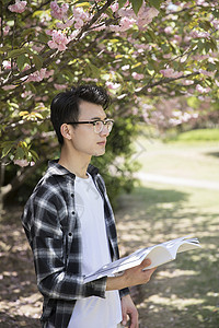 学生在认真阅读图片