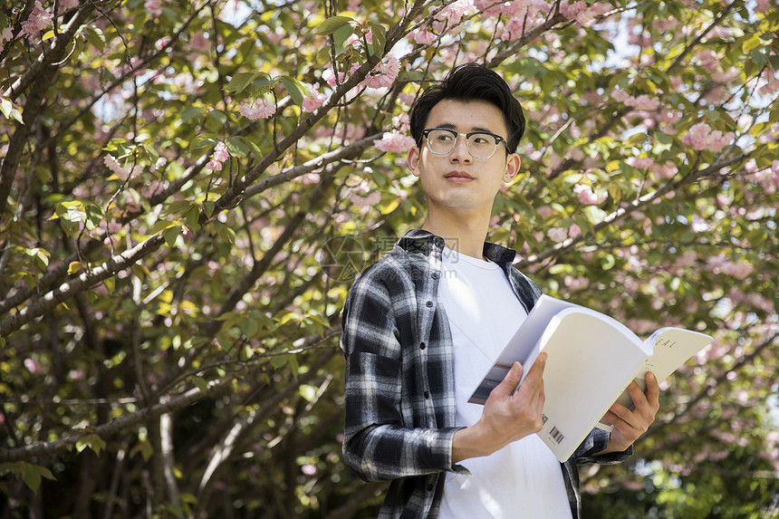 学生在认真阅读图片