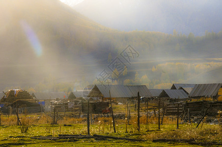 新疆禾木村落木屋毡房背景图片
