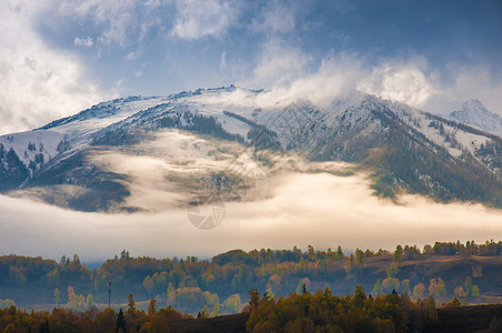 原始树林新疆禾木山野风光背景