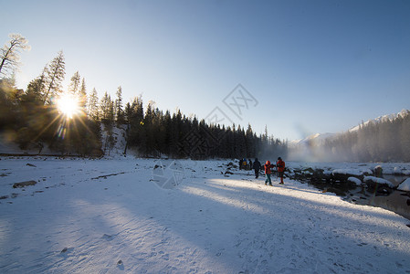 大松树新疆冬季喀纳斯大美雪景背景