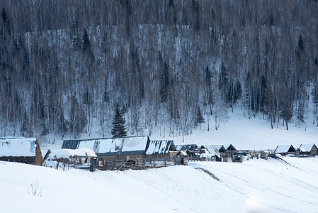 雪地光影新疆禾木村冬季雪景美景背景