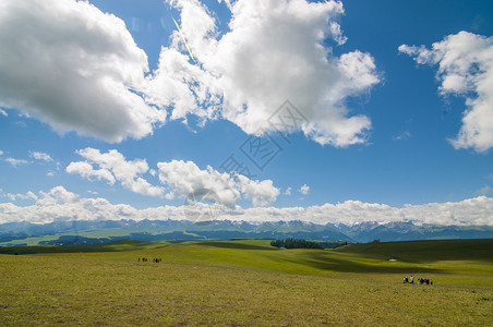 自然山水风景桌面新疆天山牧场美景背景