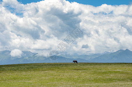 马查普夏新疆天山牧场美景背景