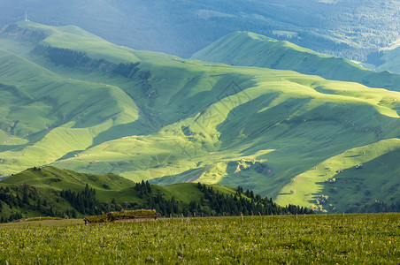 夏季桌面新疆天山牧场背景